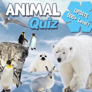 AnimalQuizChristmasTeaser