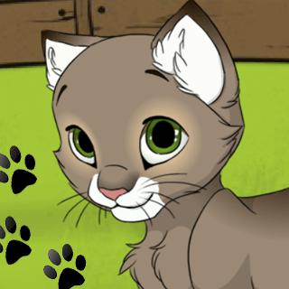 KittenMakerTeaser