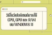 วิธีโชว์เปอร์เซนต์การใช้ CPU, GPU และ RAM บน Windows 11