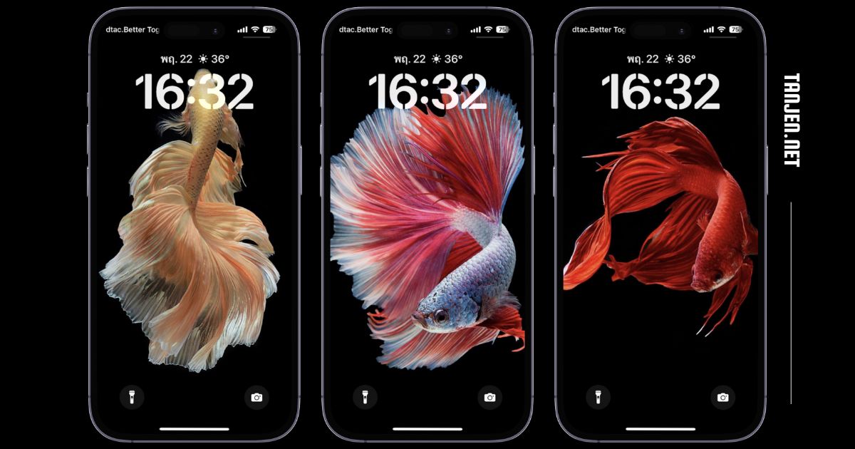 วิธีสับเปลี่ยนรูปภาพบนหน้าจอล็อค iPhone